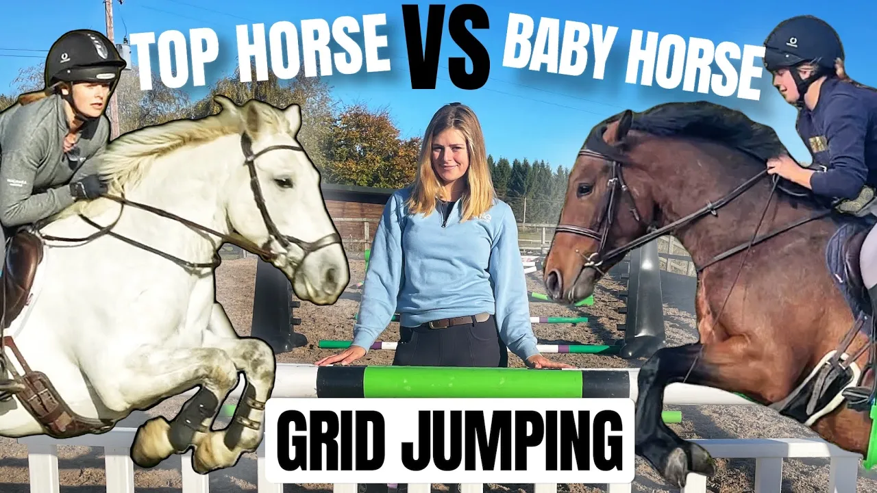 BUILDING A JUMPING GRID - Baby Vs Top Horse