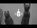 Discip - Off The Clock (Extended Mix)