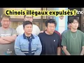 Download Lagu RDC et Tshisekedi frappe fort: Les Chinois illégaux expulsés !