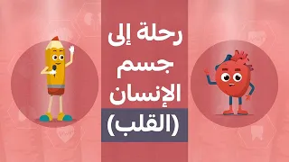 رحلة إلى جسم الإنسان القلب كرتون للأطفال 