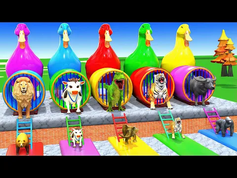 Video Thumbnail: Long Slide Game with Cow Elephant Gorilla Hippopotamus Tiger 3d Animal Game Funny 3d Animals