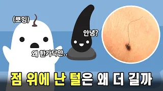 점 위에 나는 털은 왜 더 길게 날까