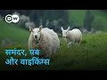 Download Lagu आयरलैंड के सबसे सुंदर रास्ते का सफर [Ireland’s Most Beautiful Train Route] | DW Documentary हिन्दी