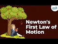 Newton s First Law of Motion Forces and Motion Physics Infinity Learn