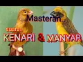 Download Lagu Masteran paling Dicari || suara Burung KENARI dan Burung MANYAR..