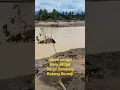 Lagu Aliran baru batang Kuranji Pasca banjir di daerah Tabing Ganda Gadang Kota Padang