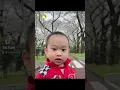 Download Lagu #shorts #japantiktok #fyp #shortvideo #iloveu |hahaha reaction ni rayzo sa video kamukha cila.