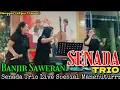 Download Lagu SENADA TRIO - Cover Lagu Batak Terpopuler Manghuturr Banjir Saweran Gaes @hangganeriksonchannel8093