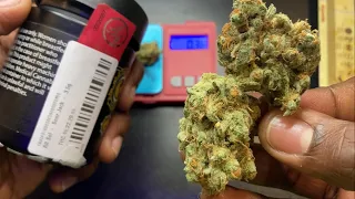 Sour Jack 21 Sour Diesel x Jack Herer ALT SOL from Cannabist Story time on smoking as a teen