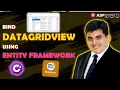 Bind DataGridView using Entity Framework C