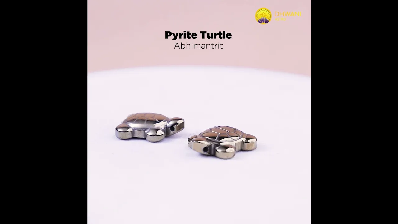 Pyrite Turtle