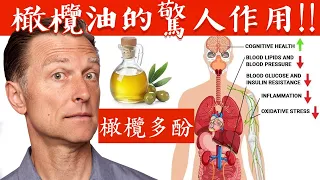 真的橄欖油！驚人8大好處,關鍵作用是多酚,自然療法,柏格醫生 Dr Berg