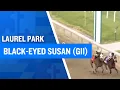 2026 300 000 Black-Eyed Susan G2