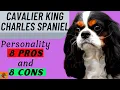 CAVALIER KING CHARLES SPANIEL PROs CONs Include Health Problems - Must Watch Before Getting One