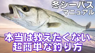 冬にシーバスを釣りたい方へ！初心者が超簡単にシーバスを釣る３つのポイント