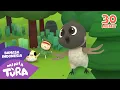 Download Lagu Burung Kutilang Berbunyi Trilili Lili Lilili dan 30 Menit Kompilasi Lagu Anak Viral Terbaru Lainnya