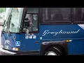 Greyhound cancels bus service in most of western Canada