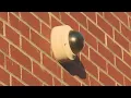 Gainesville Police officers utilize surveillance cameras social media leading to quicker arrests