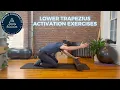 Lower Trapezius Muscle Activation Exercises