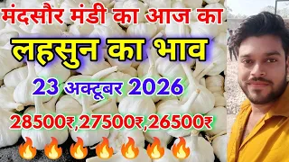 देशी लहसुन बिका आज 28500₹ क्विंटल | Aaj Ka Lahsun Ka Bhav | Lahsun Ka Bhav | Today’s Garlic Rate