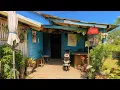 Download Lagu Menikmati Hidup Di Desa‼️Tinggal Di Rumah Unik Di Tengah Sawah Dihiasi Bunga Indah