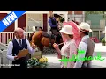 Download Lagu The Cowboy \u0026 the Movie Star 2024   NEW Hallmark Movies 2024   Best Hallmark Movies 2024