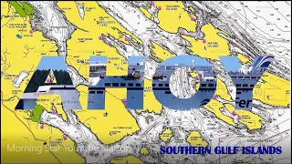 Morning Star YouTube Startup