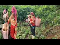 Download Lagu Single mother and her son dig cassava for food