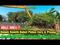 Download Lagu SIKAT BEH‼️Babat Pohon Cery Dan Pisang Normalisasi Kali Karangsatria Hampir Finish