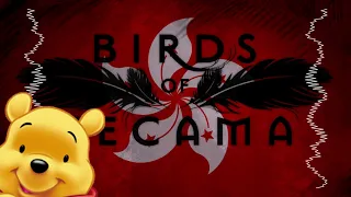birds of necama revolution of our times 2019 version