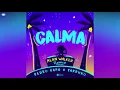 Calma (Alan Walker Remix) - Pedro Capo ft. Farruko /Audio /Lyrics