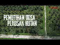 Download Lagu Pemutihan Dosa Perusak Hutan