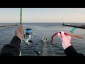 Download Lagu The Fish Could NOT Resist This Homemade Lure  - Catch, Clean, Cook The BEST Bluefish Fish Cakes!!!