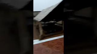 جمال مناظر الخريف في بادية كندره  جمال مناظر الخريف في بادية كندره