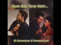 Hum Bas Tere Hain || Ek Deewane Ki Deewaniyat || B Prak || Lyrics - Prince Dubey ||