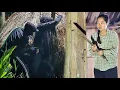 Download Lagu What does the homeless girl face in the scary dark night! Poor homeless girl