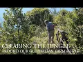 Download Lagu Clearing the jungle around our old Italian farmhouse (#7)
