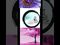 Download Lagu Tower of stones.Beautiful flower.