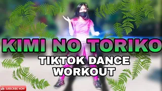 Download KIMI NO TORIKO - SUMMERTIME | DJ Remix | TikTok Remix 2020 | Zumba 2020 | Dance Fitness 2020 MP3
