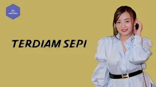 Download TERDIAM SEPI - MEISITA LOMANIA (LIRIK) MP3