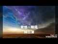 愛情一陣風-陳百潭