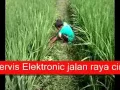 Download Lagu Pop sunda Oon B - Jang