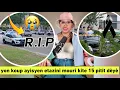 Download Lagu Gwo dram🇺🇸yon koup ayisyen kite 15 pitit dèyè aprè mari a finn touye madanm li,li touye tèt li aprè