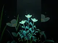 Beautiful flowers animation with HTML and CSS and JS