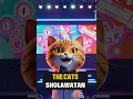 Download Lagu The Cats Sholawatan #cat #meong #shalawatan #childcat