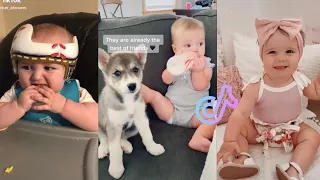 Download Ultimate TikTok Cutest Babies Compilation | Gives you Baby Fever 💕💕💕💕 PT. 5 MP3