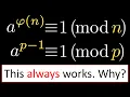 Euler s Totient Theorem and Fermat s Little Theorem - Complete Proof Intuition