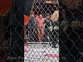 Download Lagu Alex Pereira after losing to Magomed Ankalaev at UFC313 #shorts