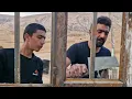 Will Farzad reveal the truth? Or will Fatemeh lose her home?