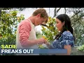 Sadie Freaks Out Over Marriage Talk Neighbours S40 E9051